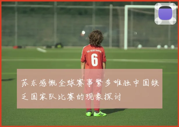 苏东感慨全球赛事繁多唯独中国缺乏国家队比赛的现象探讨