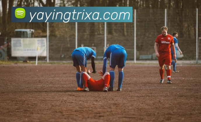 App Interface Preview