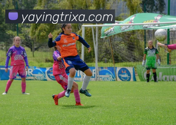 亚英体育APP 封面图